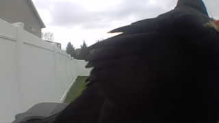 red-winged blackbird