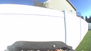 Unidentified clip