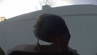 Unidentified clip
