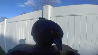 Unidentified clip