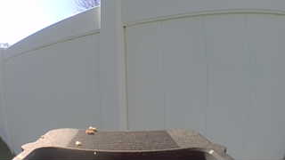 Unidentified clip