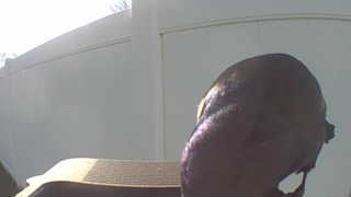 Unidentified clip
