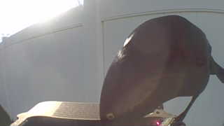 Unidentified clip
