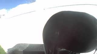 Unidentified clip