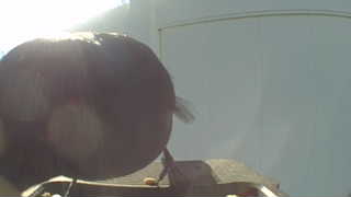 european starling