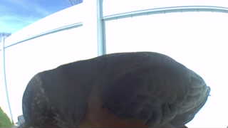 Unidentified clip