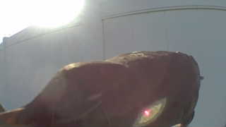 Unidentified clip