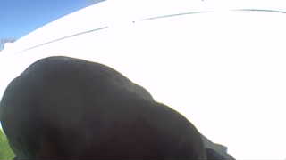 Unidentified clip