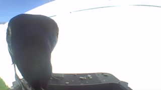Unidentified clip