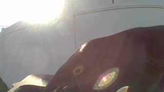 Unidentified clip
