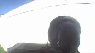 Unidentified clip