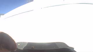 Unidentified clip