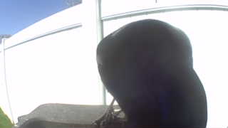 Unidentified clip