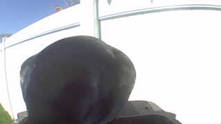 Unidentified clip