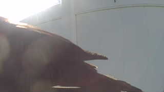 Unidentified clip