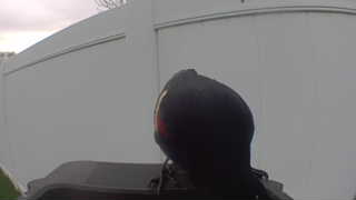 red-winged blackbird