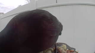 Unidentified clip