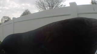 Unidentified clip