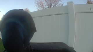 common grackle