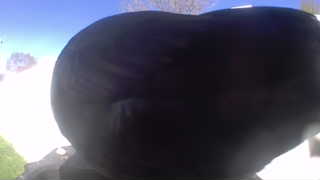 Unidentified clip