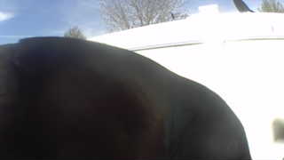 Unidentified clip