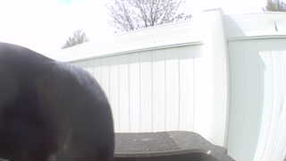 Unidentified clip