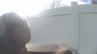 Unidentified clip