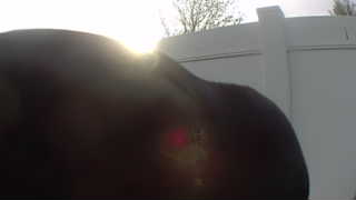 Unidentified clip