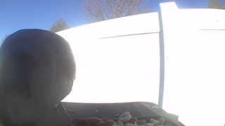 Unidentified clip