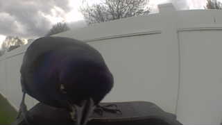 Unidentified clip