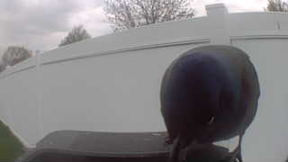 Unidentified clip