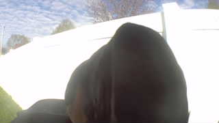 Unidentified clip