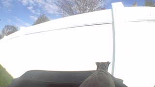 Unidentified clip
