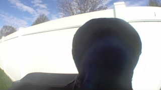 Unidentified clip