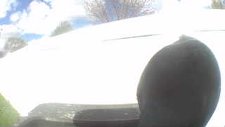 Unidentified clip