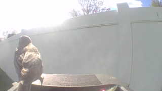 red-tailed hawk