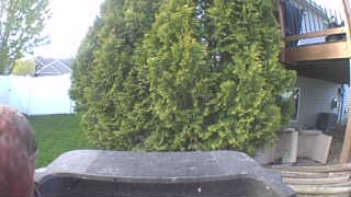 Unidentified clip