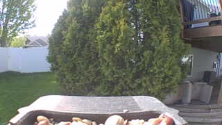 Unidentified clip