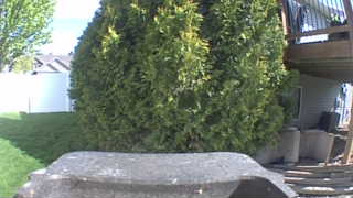 Unidentified clip