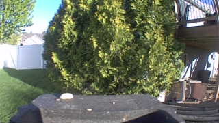Unidentified clip