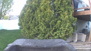 Unidentified clip