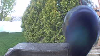 Unidentified clip