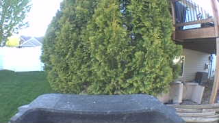 Unidentified clip