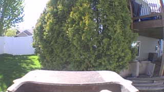 Unidentified clip