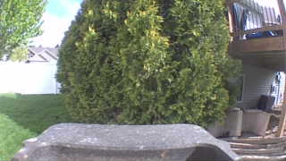 Unidentified clip