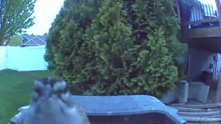 Unidentified clip
