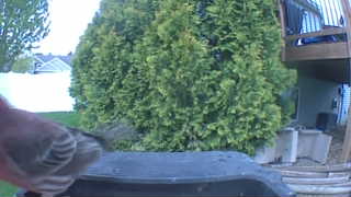 Unidentified clip