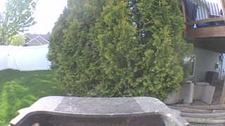 Unidentified clip