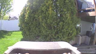 Unidentified clip