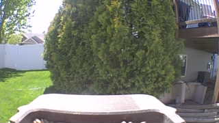 Unidentified clip